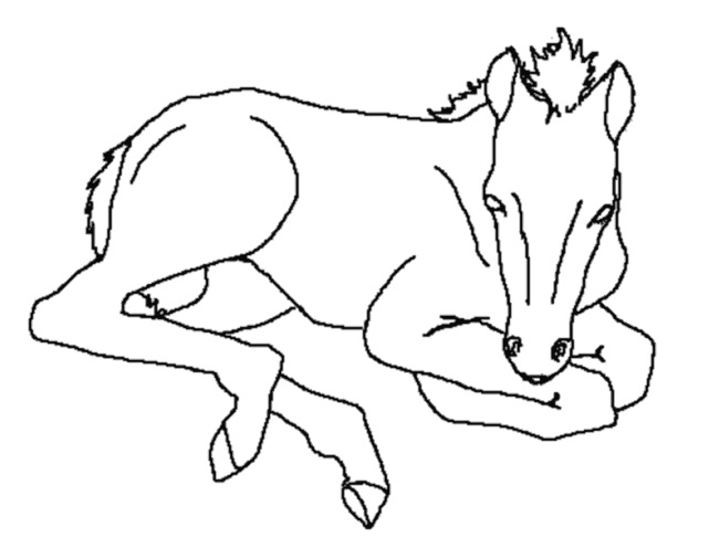 Horse 4